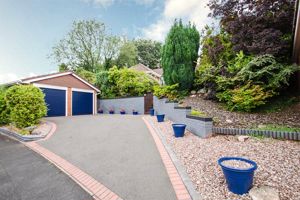 Photo 3- click for photo gallery